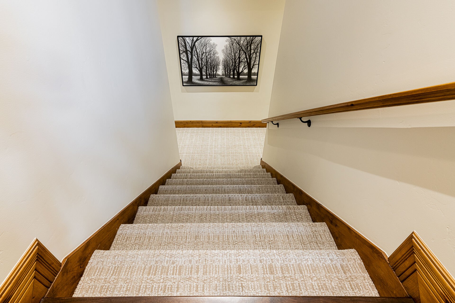 Stairway to Theater and Game/Family Rooms