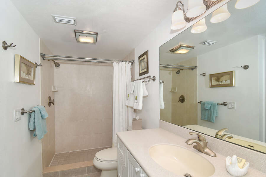 Private master bath with walk-in shower.