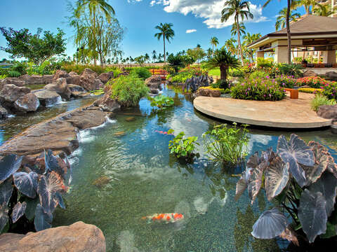 The Koi Pond that is Just Outside the Lobby of our Villas for Rent in Oahu Honolulu