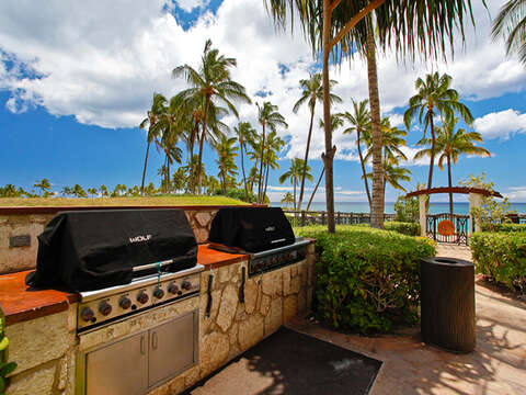 Tow of the Four Barbecue Grills on the the Beach Villas Property