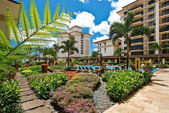 Garden by Lap Pool
