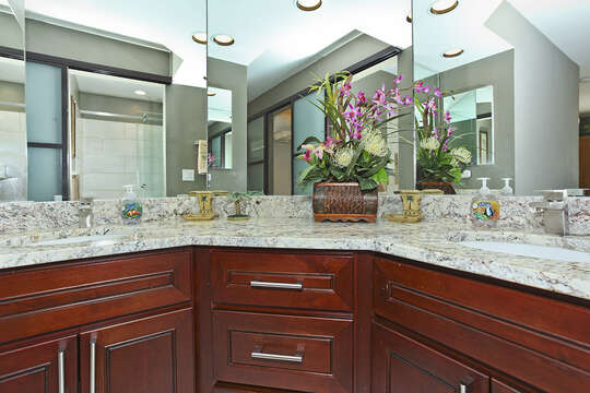 Remodeled Master Bathroom with Counter and Cabinet Space.