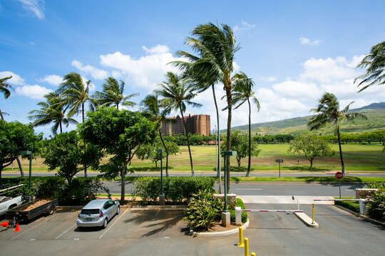We're not trying to hide it. Here's the View of the Driveway from your Lanai... with Mountains in the Background