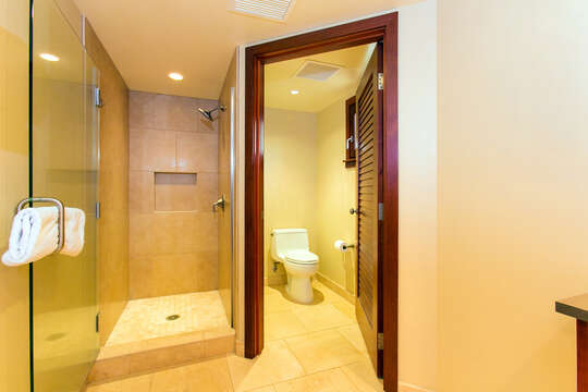 Walk-in Shower and Toilet.