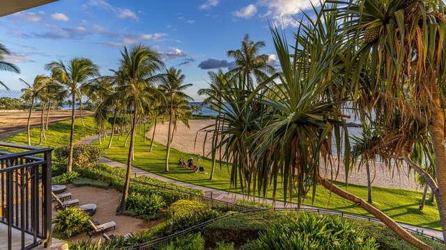 Lovely Palms outside beach villa