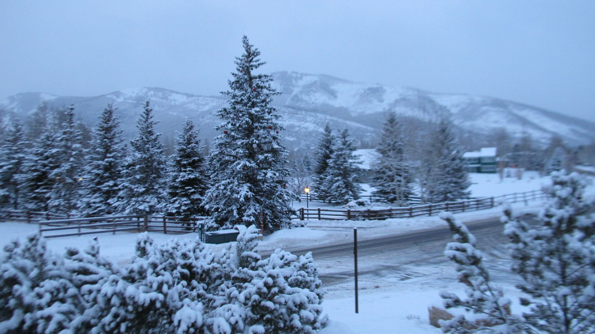 View in the winter of ski slopes