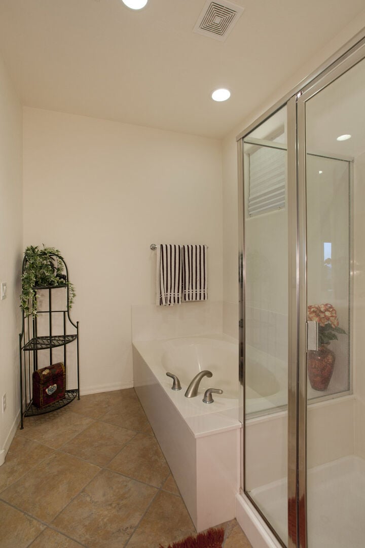 Separate Shower and Tub