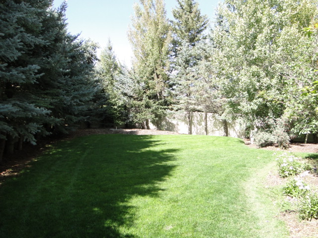 Huge yard fun in the summer and winter on private cul-de-sac - Park City Sundance - Park City
