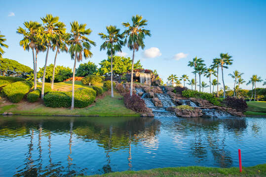 Waterfall in a Pond with Palm Trees.