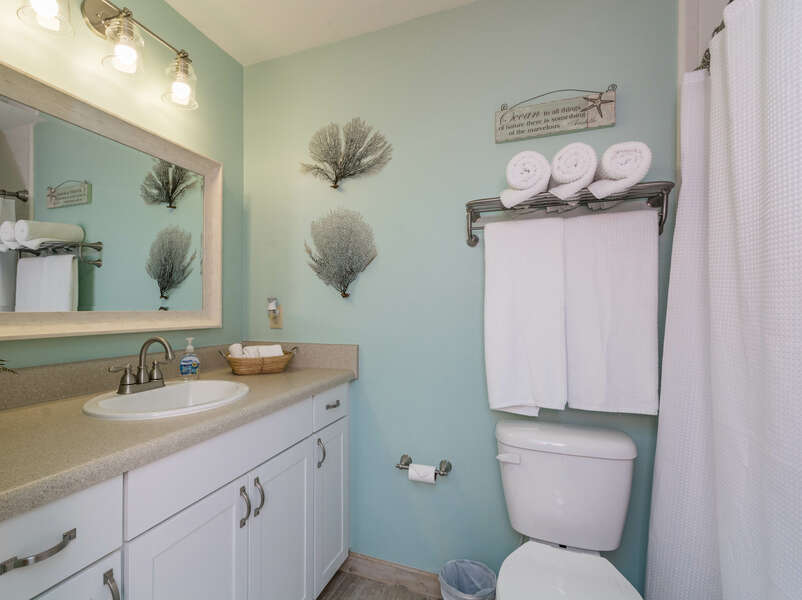 Bathroom with long tan countertop and coral wall decorations.