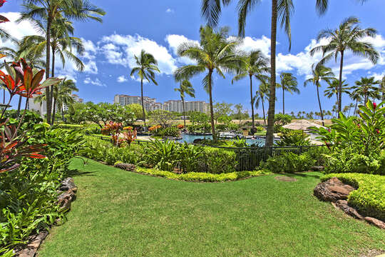 View From Lanai of the yard