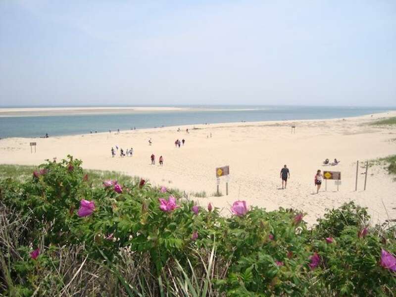 Lighthouse Beach is just 0.5 mile away - Chatham Cape Cod New England Vacation Rentals