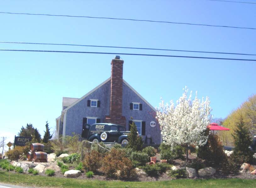Upscale Dining can be found at Bucas just .8 tenths of a mile away! www.bucasroadhouse.com - South Harwich Cape Cod New England Vacation Rentals