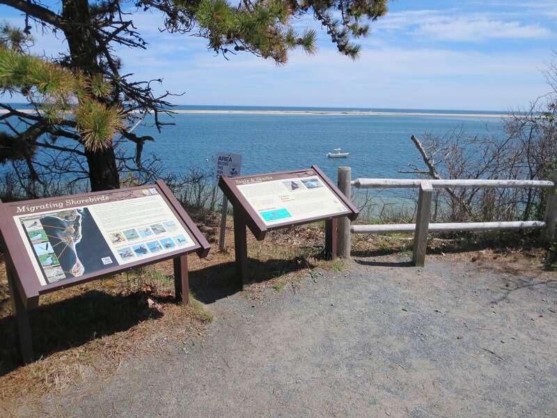 Monomoy Wildlife Refuge is about a mile away - Chatham Cape Cod New England Vacation Rentals