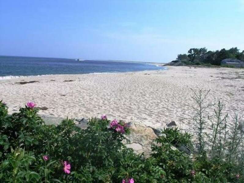 Andrew Hardings Lane Beach across the street - Chatham Cape Cod New England Vacation Rentals