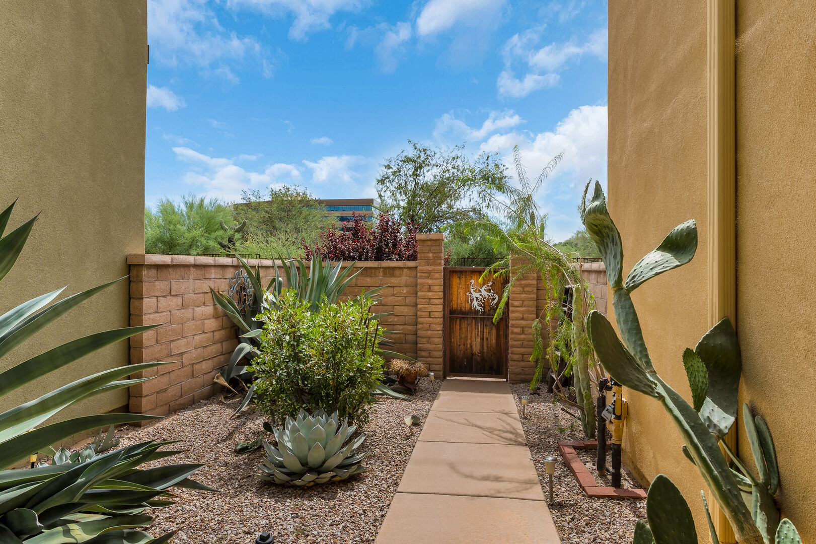 Gated front area with cute desert plant life!