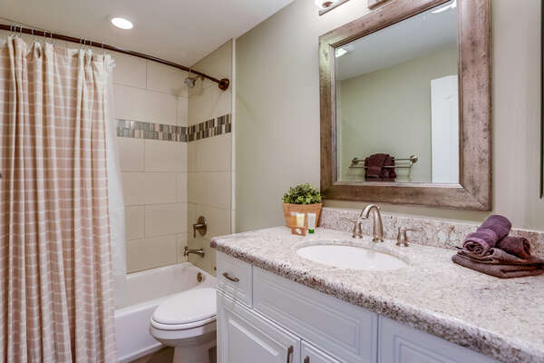 Single Sink Vanity, Toilet, and Shower-Tub Combo.
