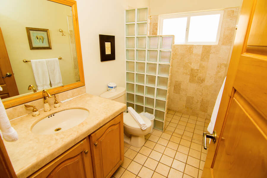 Shared bathroom in hallway with glass block shower.