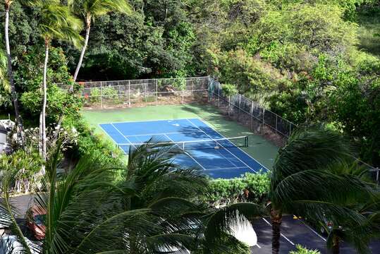 Aerial View of the Tennis Court Surrounded by Palm Trees.