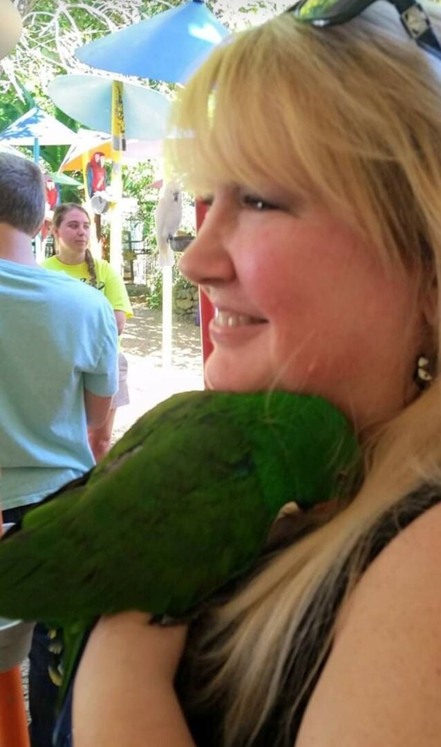Parrot Mountain in Pigeon Forge has thousands of parrots and this one loves to snuggle.