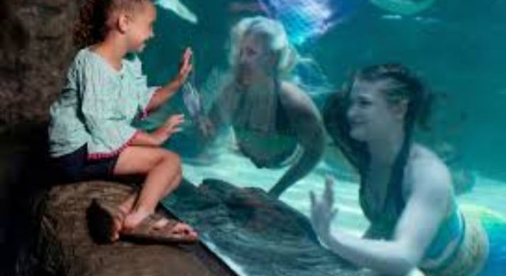 The Mermaid Show at Ripley's Aquarium in Gatlinburg TN