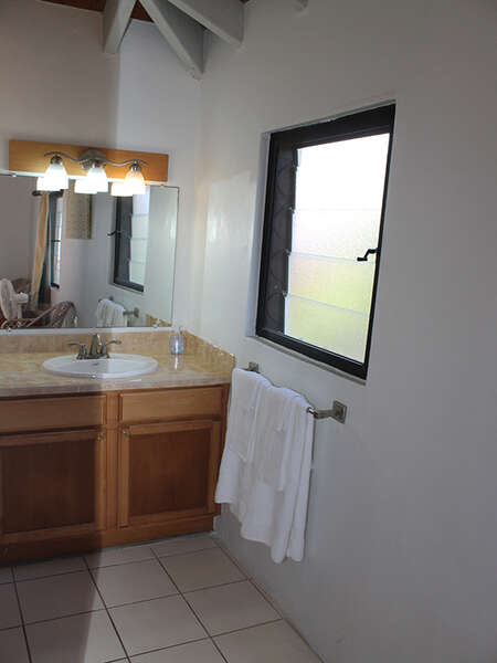 Loft Bedroom en suite Bath with walk-in Shower