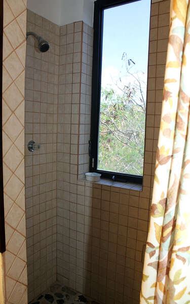 Tiled shower with window and view