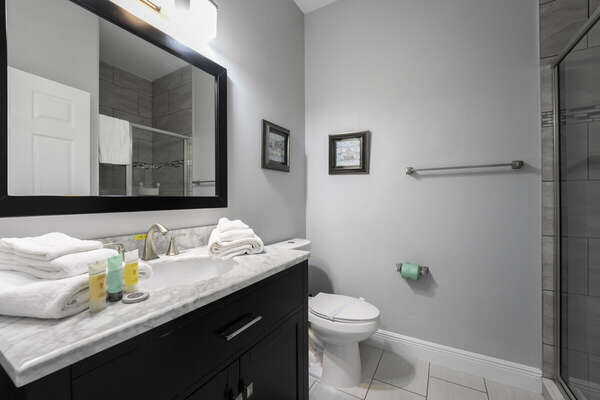 Full bathroom downstairs with shower, toilet and single sink vanity