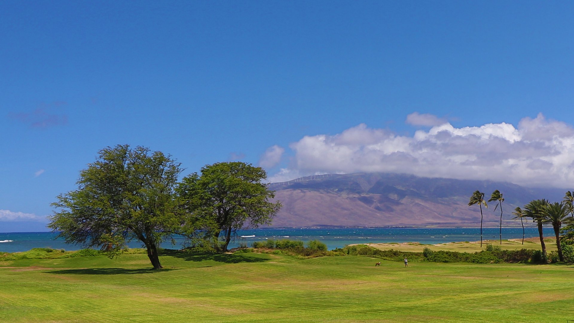 Luana Kai Resort West Maui's from Waipuilani Park