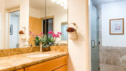 B207 Guest Bathroom Vanity and Shower