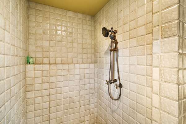 Primary  Bathroom Shower