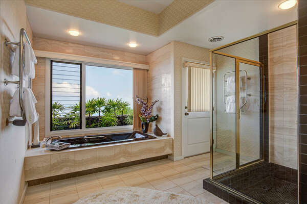 Primary Bathroom with Separate Tub & Shower