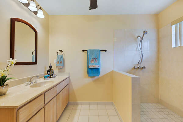 Primary Bathroom with walk-in shower and vanity sink.