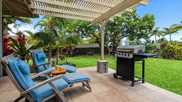 A BBQ grill on your lanai