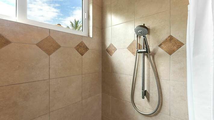 Guest bathroom Shower