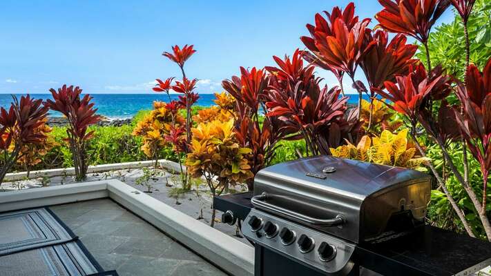 BBQ located on your lanai