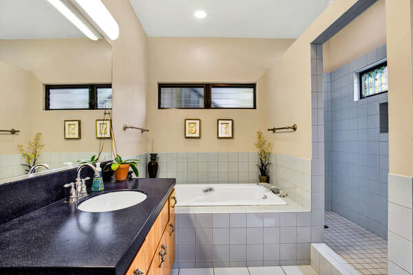 Guest Bathroom with separate shower & bathtub