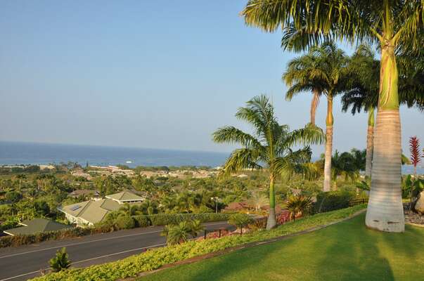 View of the Beautiful Landscape with Royal Palms