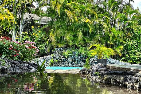 Keiki Ponds - Wading Pool Great for Little Ones