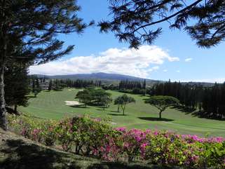 Kapalua Bay golf course from the sidewalk on a 10 min walk to the beach; WOW!!!
