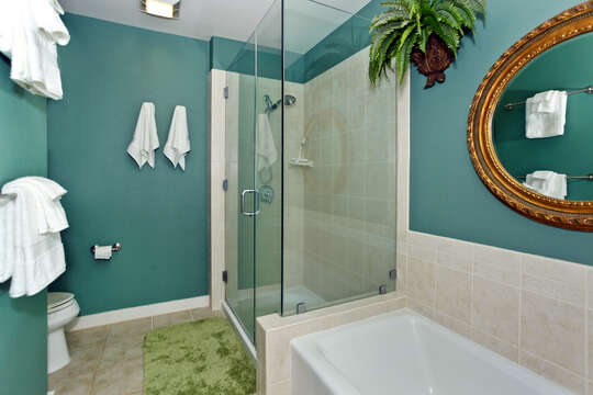 Spacious Master Bath with Tub and Walk-in Shower