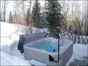 Secluded hot tub nestled in the trees