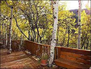 New Deck with view of Aspen Mountain