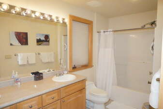 Master Bathroom with tub/shower/double sink