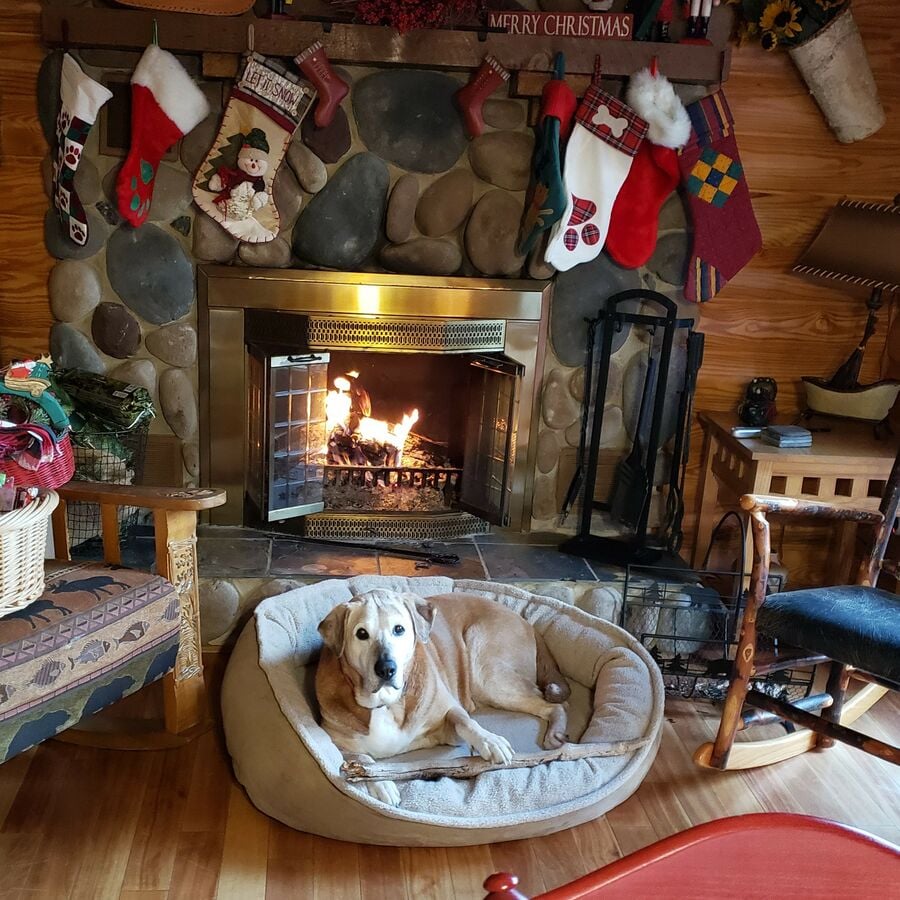 Image of Fireplace Decorated for Christmas.