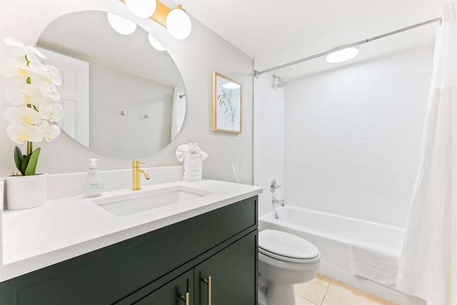 Gorgeous renovated guest bathroom with shower/tub