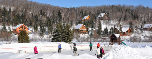 Winter Hockey Game on Private Rink