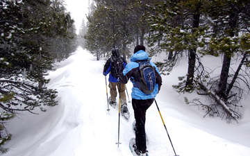 Many Ski Trails on Site
