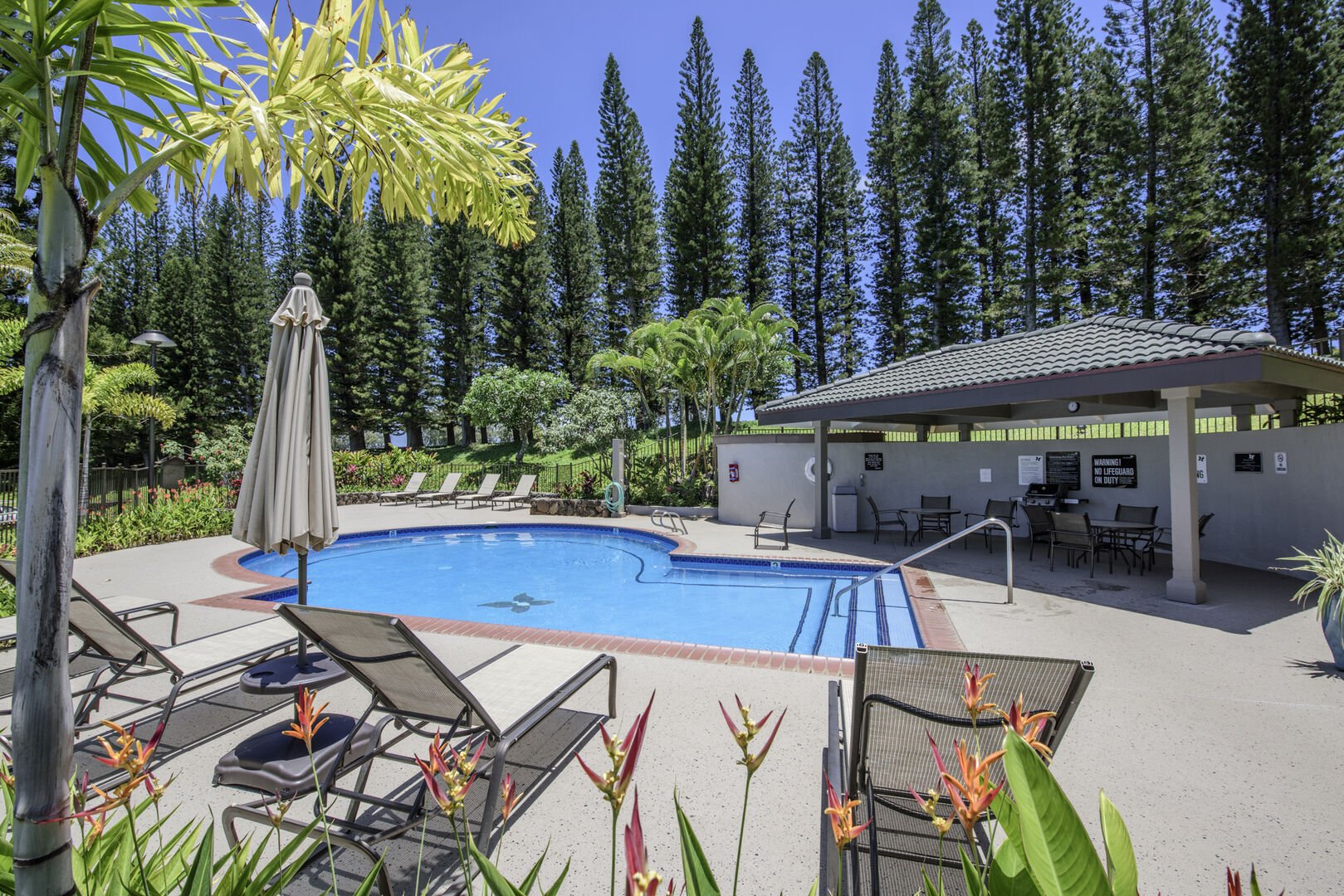 Lounge poolside