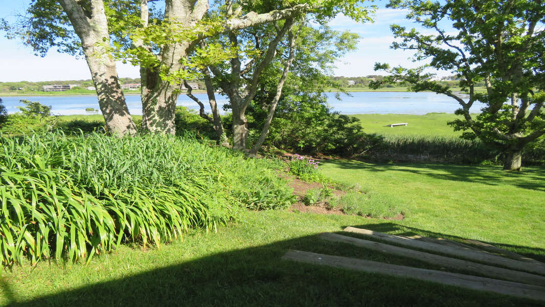 The view from the steps down to the yard in the summer! - 84 Cranberry Lane Chatham Cape Cod - Ridgevale Retreat